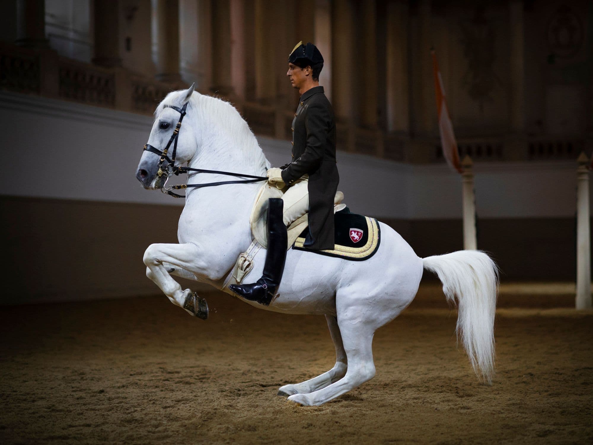 Lipizzaner%20in%20der%20Spanischen%20Hofreitschule